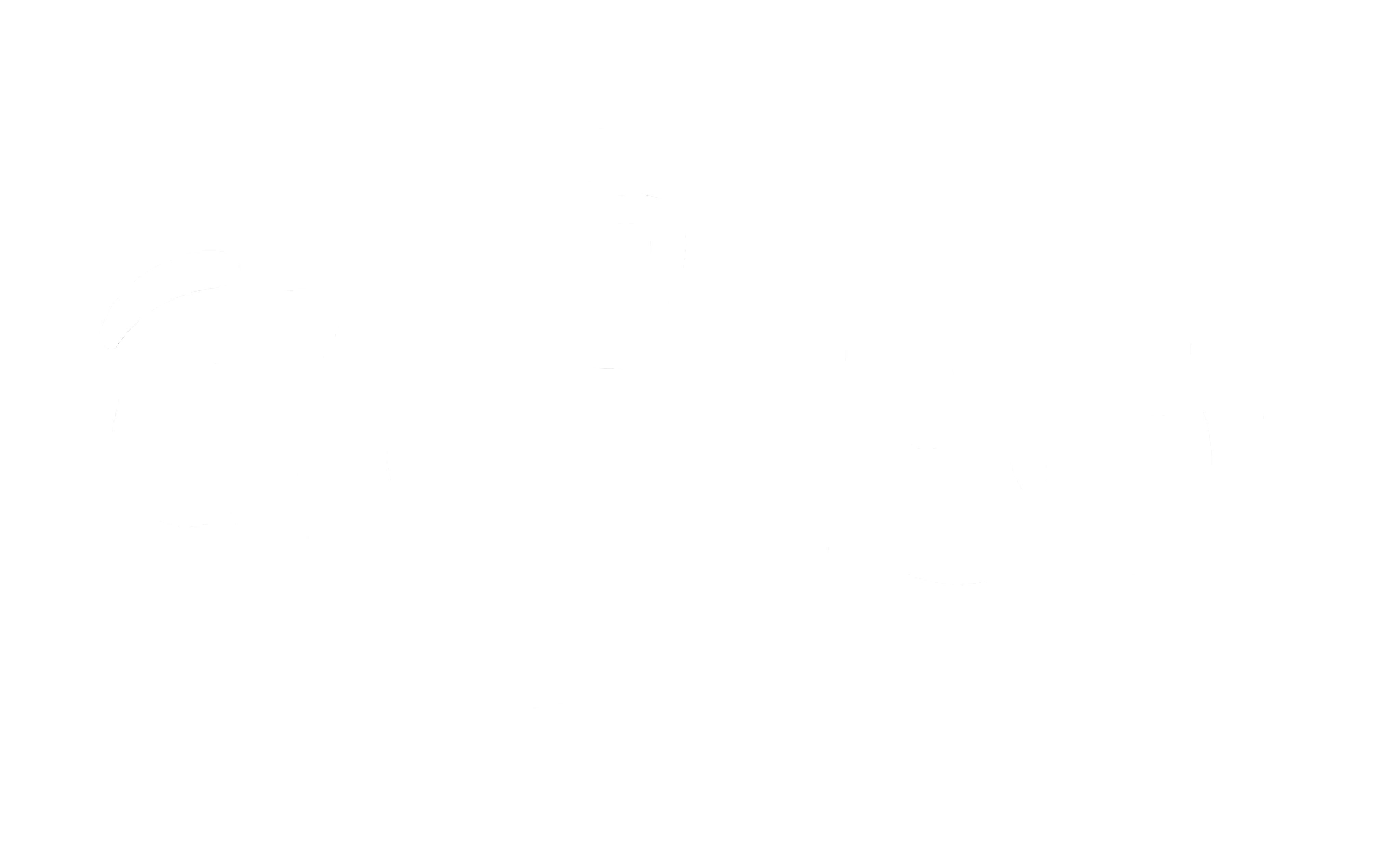 ورشة فن